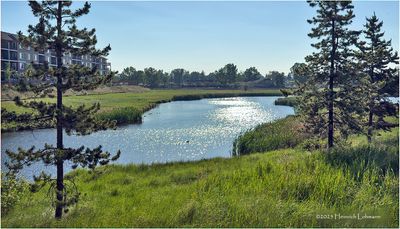 IMG_0487-Airdrie.jpg