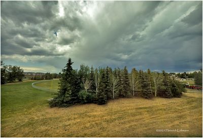 IMG_0558-Airdrie.jpg
