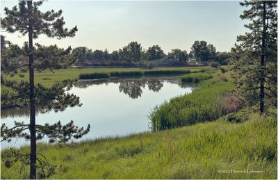 IMG_0663-Airdrie.jpg