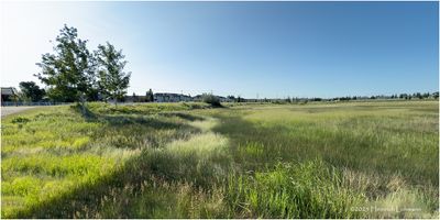 IMG_0702-Airdrie.jpg