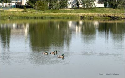 IMG_0747-Airdrie.jpg