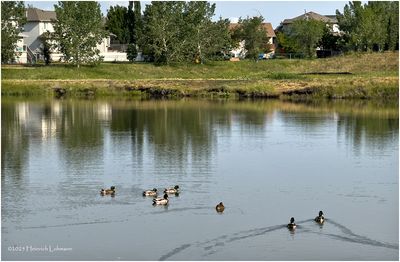 IMG_0750-Airdrie.jpg