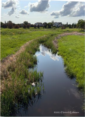 IMG_0776-Airdrie.jpg