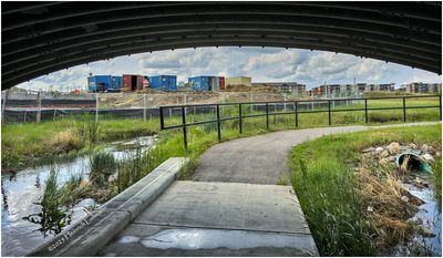 IMG_0801-Airdrie.jpg