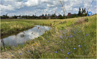IMG_0803-Airdrie.jpg