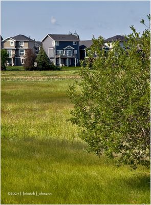 IMG_0858-Airdrie.jpg