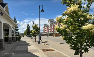 IMG_1200-Airdrie.jpg
