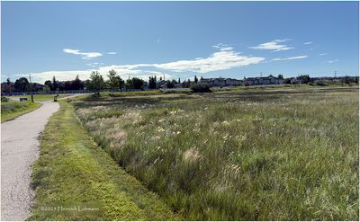 IMG_1237-Airdrie.jpg