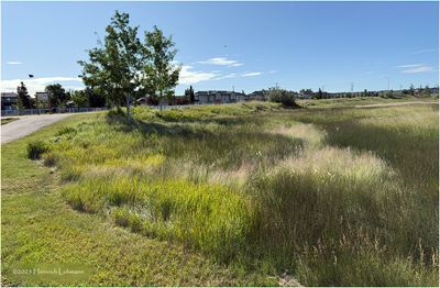 IMG_1238-Airdrie.jpg