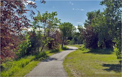IMG_1248-Airdrie.jpg