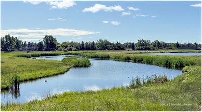 IMG_1259-Airdrie.jpg