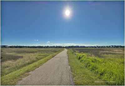 IMG_1362-Airdrie.jpg