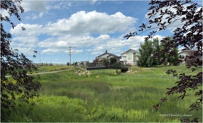 IMG_1518-Airdrie.jpg