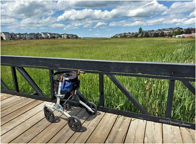 Airdrie, Alberta 2025