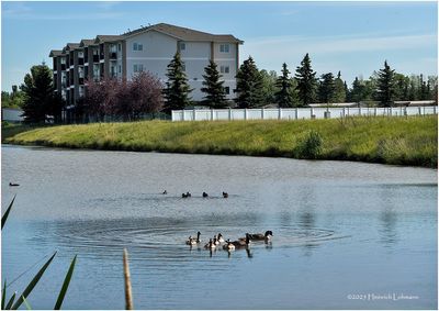 IMG_1624-Airdrie.jpg