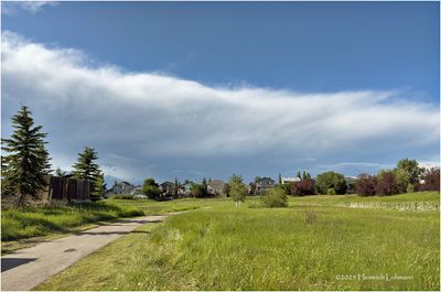 IMG_1645-Airdrie.jpg