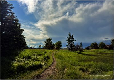 IMG_1651-Airdrie.jpg