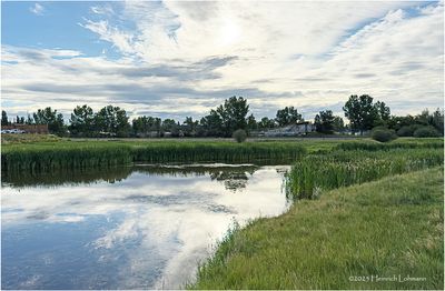 IMG_1826-Airdrie.jpg