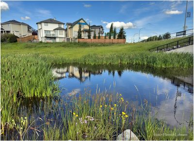 IMG_1946-Airdrie.jpg