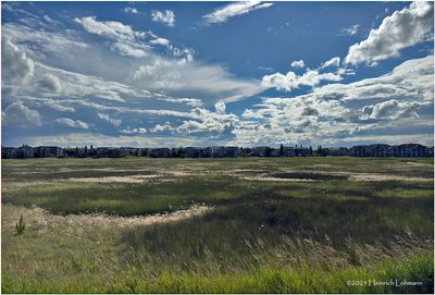 IMG_1967-Airdrie.jpg