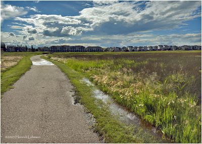 IMG_1971-Airdrie.jpg