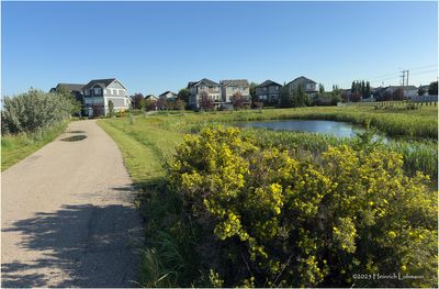 IMG_2089-Airdrie.jpg