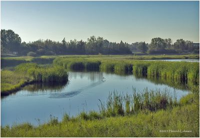 IMG_2107-Airdrie.jpg