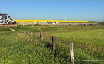 IMG_2121-Airdrie.jpg