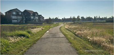 IMG_2141-Airdrie.jpg