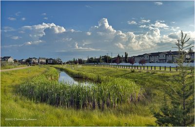 IMG_2164-Airdrie.jpg