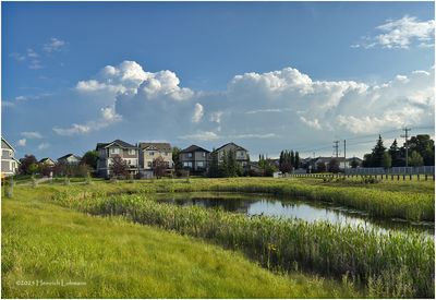 IMG_2171-Airdrie.jpg