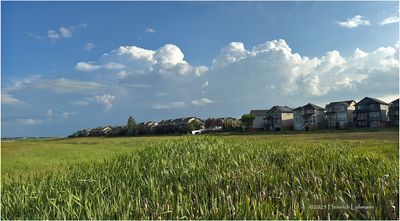 IMG_2174-Airdrie.jpg