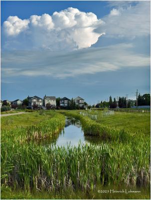 IMG_2185-Airdrie.jpg