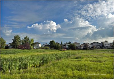 IMG_2188-Airdrie.jpg