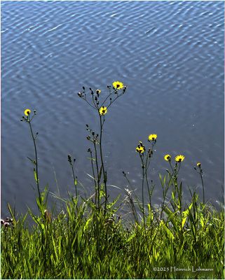 IMG_2281.jpg