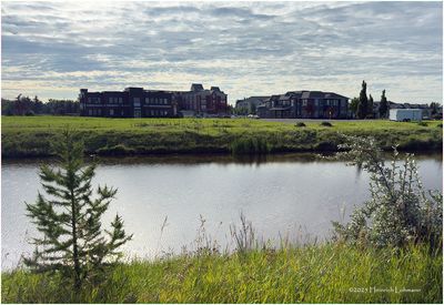 IMG_2378-Airdrie.jpg
