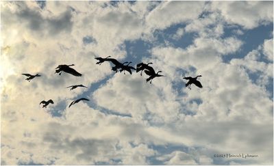 IMG_2360-Flight training.jpg