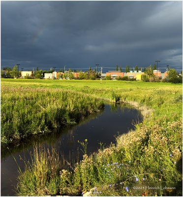 IMG_2407-Airdrie.jpg
