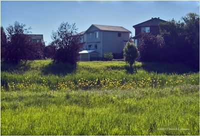Airdrie, Alberta 2025