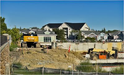 IMG_2823-Airdrie.jpg