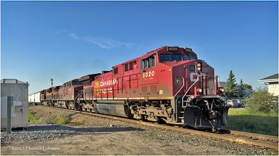 IMG_3067-Airdrie.jpg