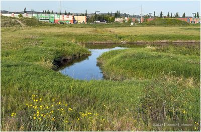 IMG_3090-Airdrie.jpg
