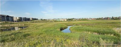 IMG_3092-Airdrie.jpg