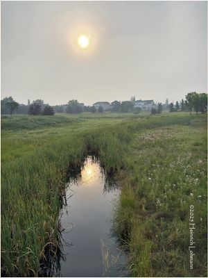 IMG_3261-Airdrie.jpg