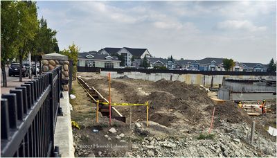IMG_3342-Airdrie.jpg