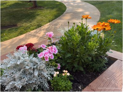 Flowers and things in 2025