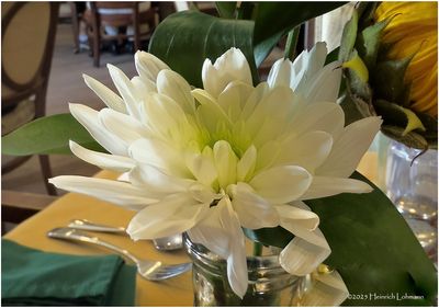 IMG_3954-Table Flower.jpg