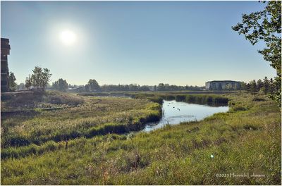 IMG_4076-Airdrie.jpg