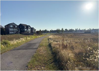 IMG_4091-Airdrie.jpg