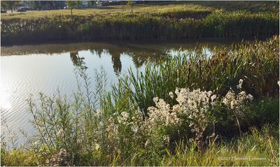 IMG_4134-Airdrie.jpg